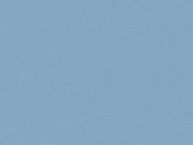 bleu 121 M.jpg